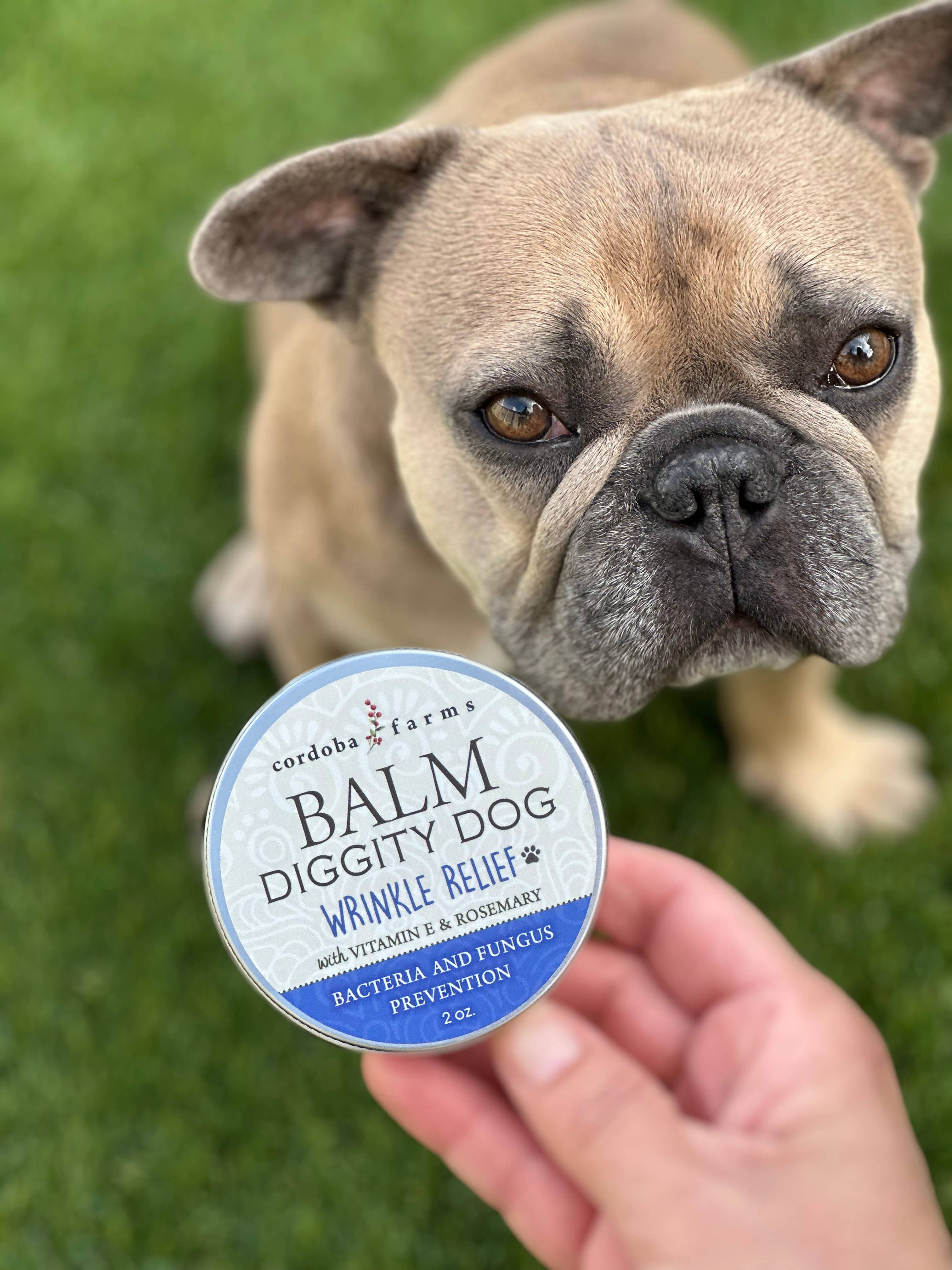 Balm Diggity Dog | Wrinkle Relief